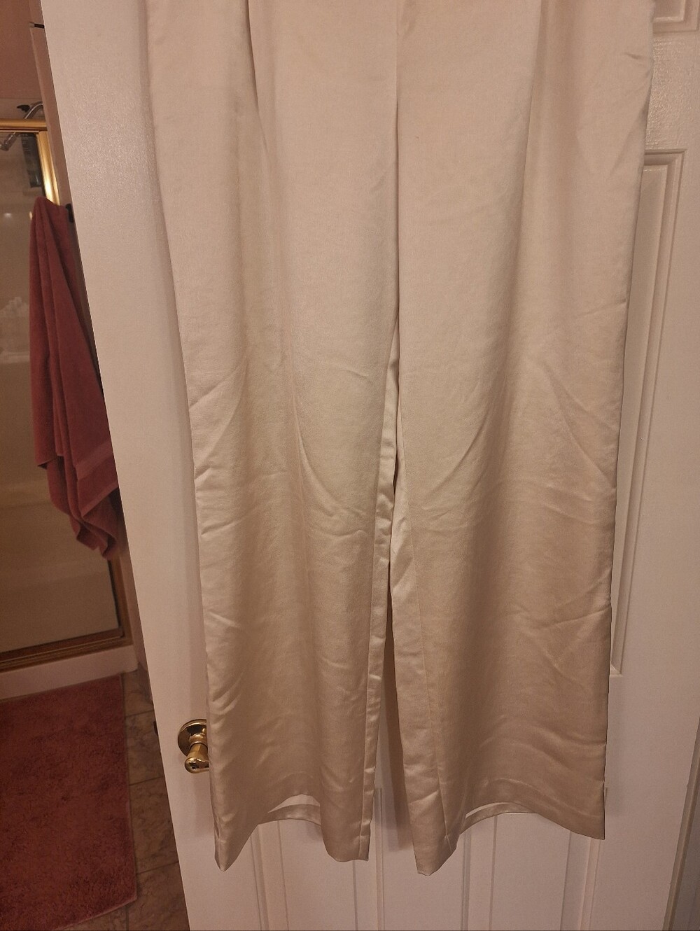 Express Satin Pants - Picture 10 of 14